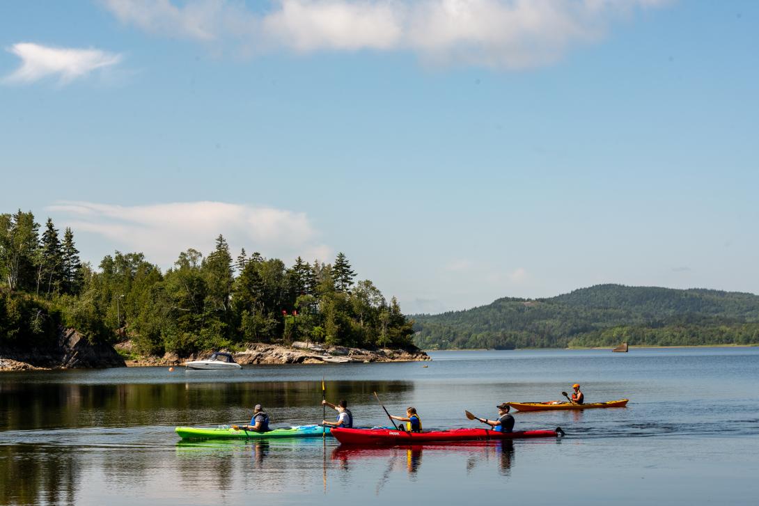 People kayaking